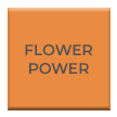 Flower Power Exterior Paint